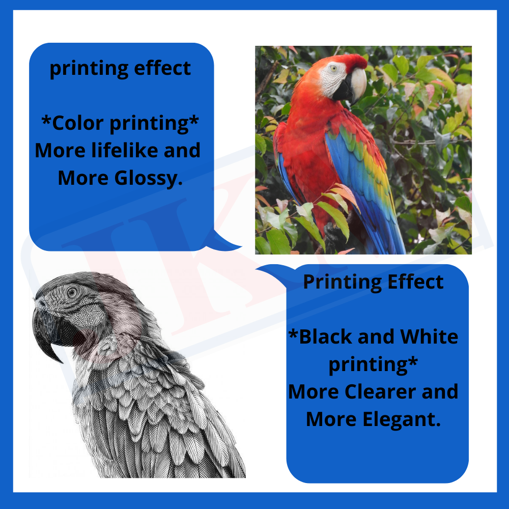 Products/NEW COVER  (4).png